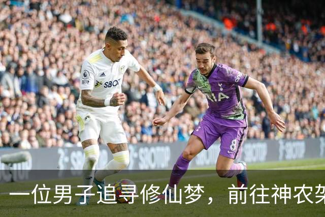 一位男子追寻修仙梦，前往神农架寻找巨虫，三个月后异象显现